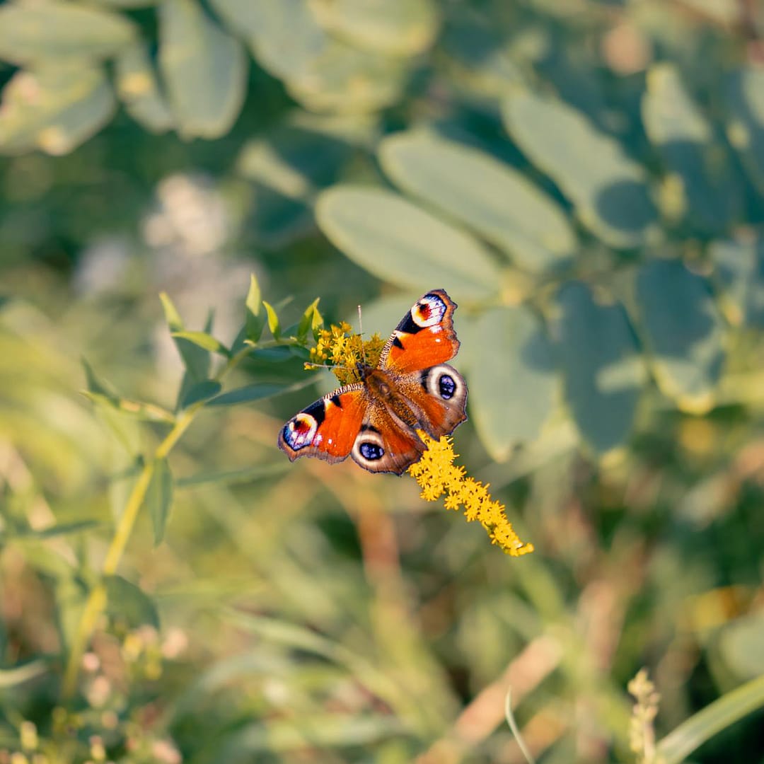 How to Start Healing From the Inside Out