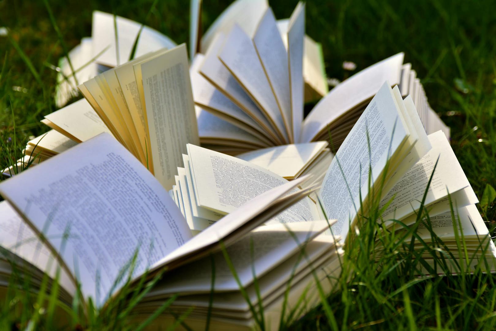 You Are the Author of Your Life Story: Choose Empowerment