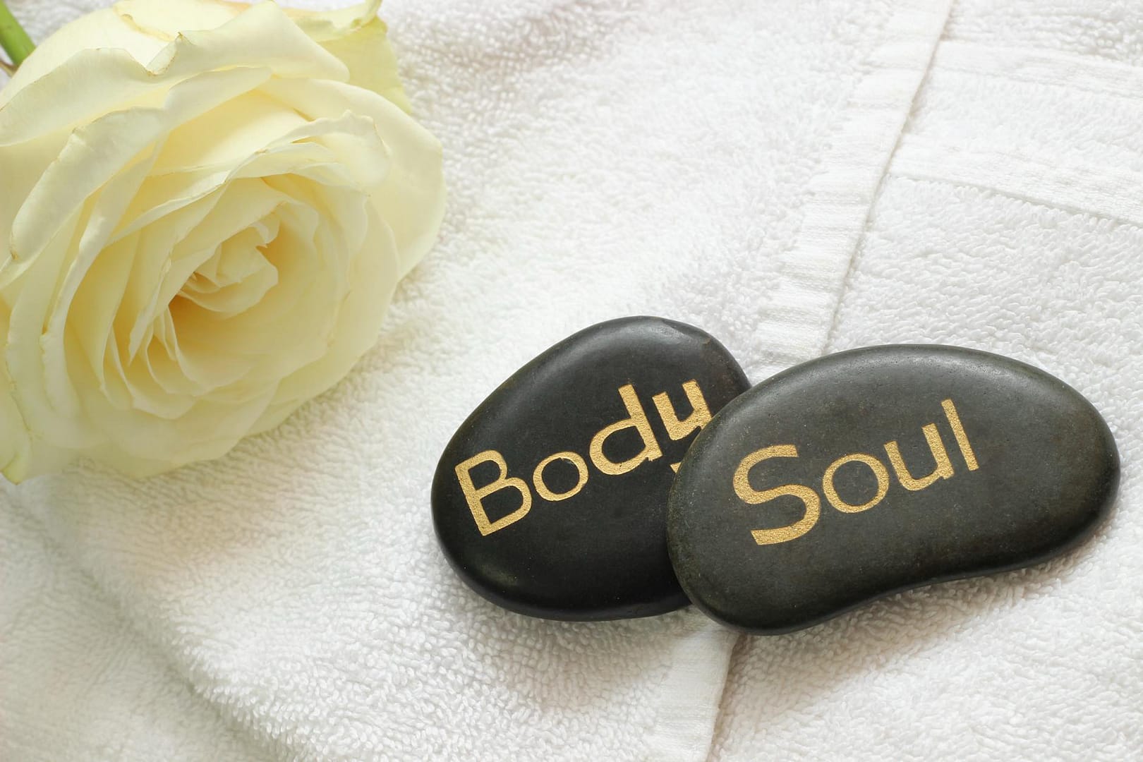 The Miracle of Soul-Body Healing: Your Journey to Holistic Wellness
