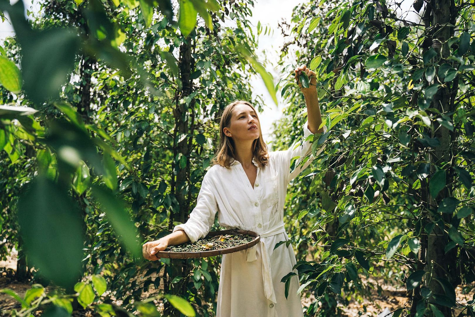 Your Journey to Natural, Toxin-Free Living: Small Changes, Big Impact