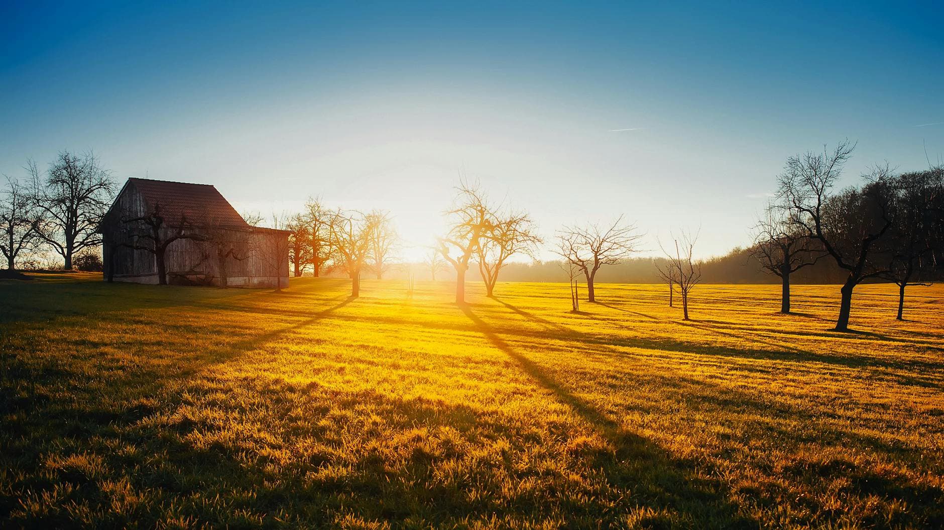 Fresh Starts: Why You Don’t Need to Wait for Monday