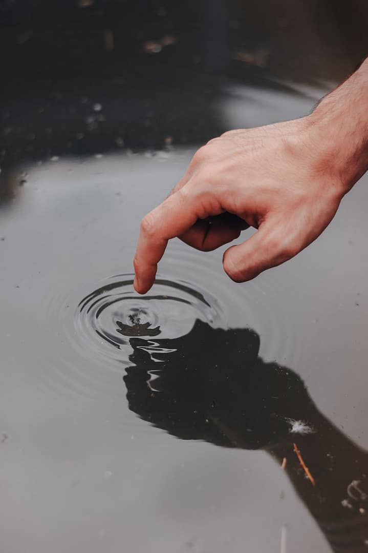 The Ocean Within Us: Meet Your Body’s Newest “Organ”