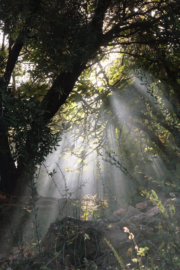 Deepening Your Fascia Awareness